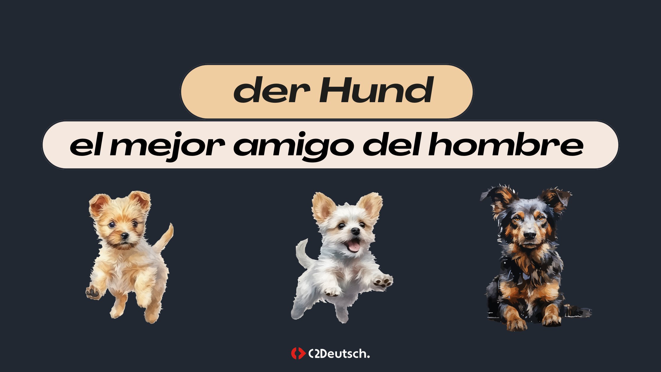 der Hund: el perro en alemán